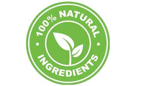 Neurozenix Focus+ All Natural